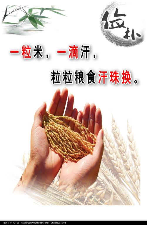 中国护照模板哪里能买到